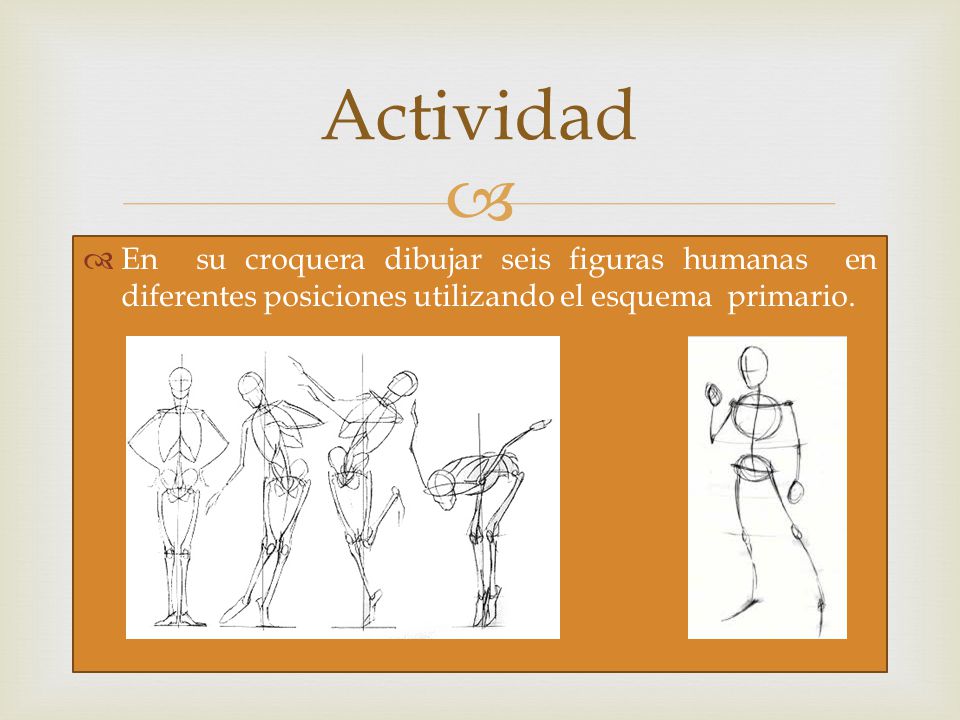 Actividad En su croquera dibujar seis figuras humanas en diferentes posiciones utilizando el esquema primario.