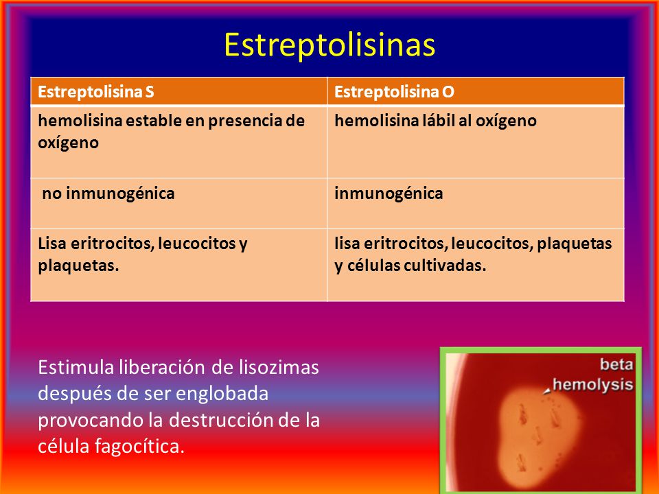 Estreptolisinas Estreptolisina S. Estreptolisina O. hemolisina estable en presencia de oxígeno. hemolisina lábil al oxígeno.