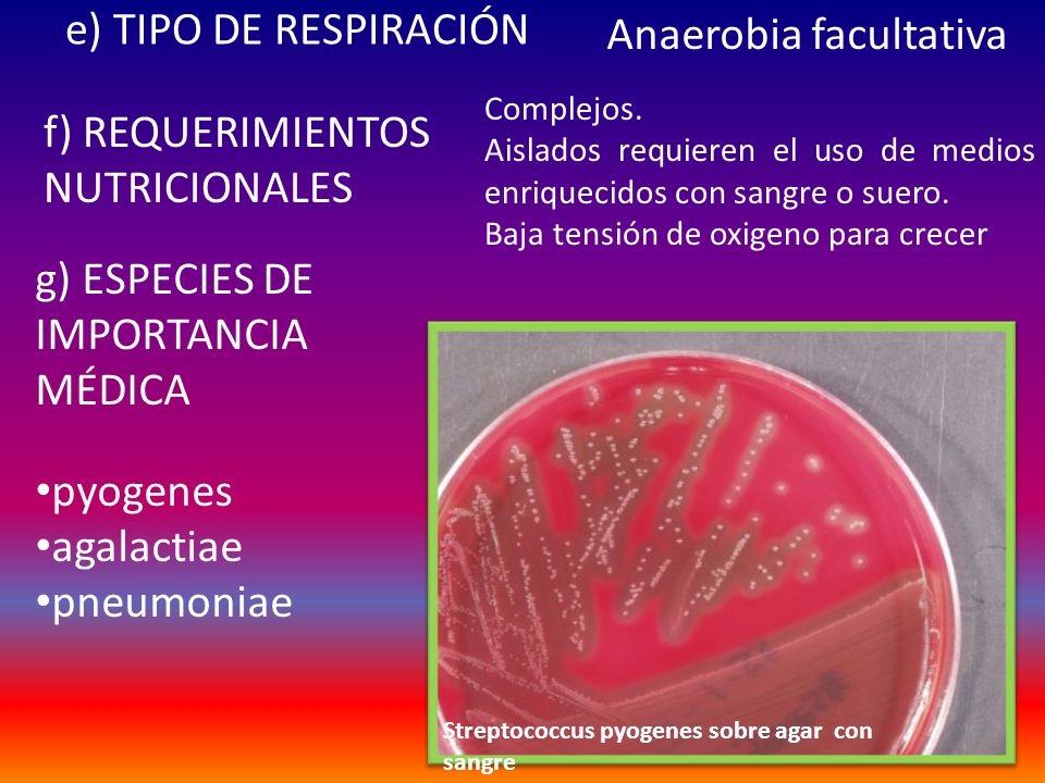 Anaerobia facultativa e) TIPO DE RESPIRACIÓN