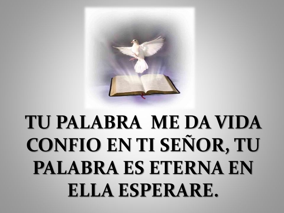 TU PALABRA ME DA VIDA CONFIO EN TI SEÑOR, TU PALABRA ES ETERNA EN ELLA ESPERARE.