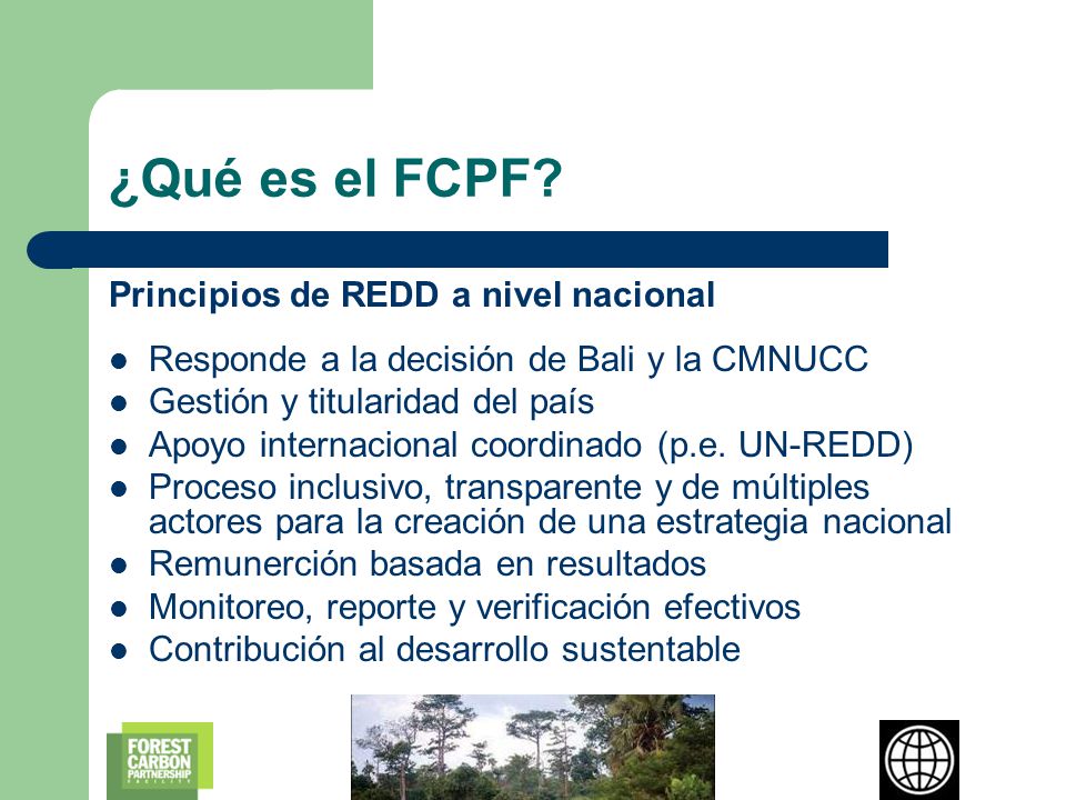 ¿Qué es el FCPF Principios de REDD a nivel nacional