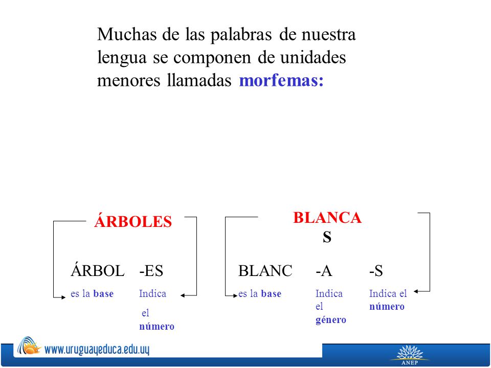 Muchas de las palabras de nuestra lengua se componen de unidades menores llamadas morfemas: