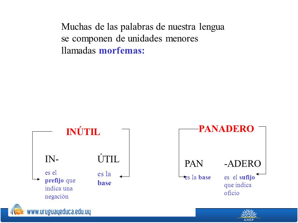 Muchas de las palabras de nuestra lengua se componen de unidades menores llamadas morfemas: