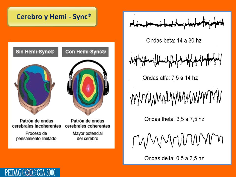 Cerebro y Hemi - Sync®