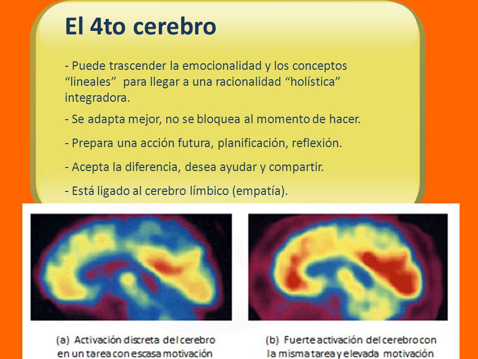 El 4to cerebro - Puede trascender la emocionalidad y los conceptos lineales para llegar a una racionalidad holística integradora.