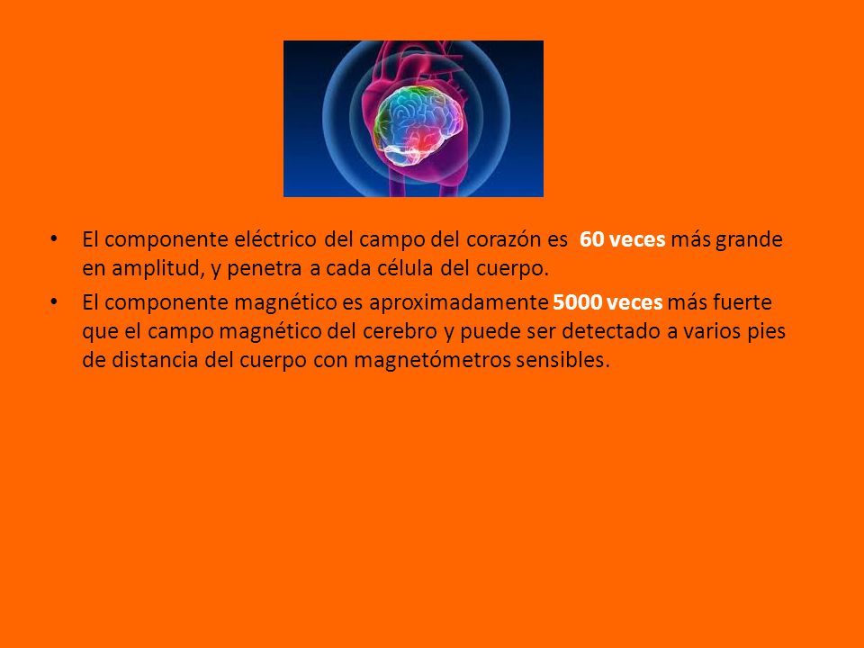 El componente eléctrico del campo del corazón es 60 veces más grande en amplitud, y penetra a cada célula del cuerpo.