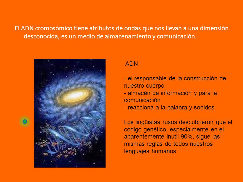 El ADN cromosómico tiene atributos de ondas que nos llevan a una dimensión desconocida, es un medio de almacenamiento y comunicación.