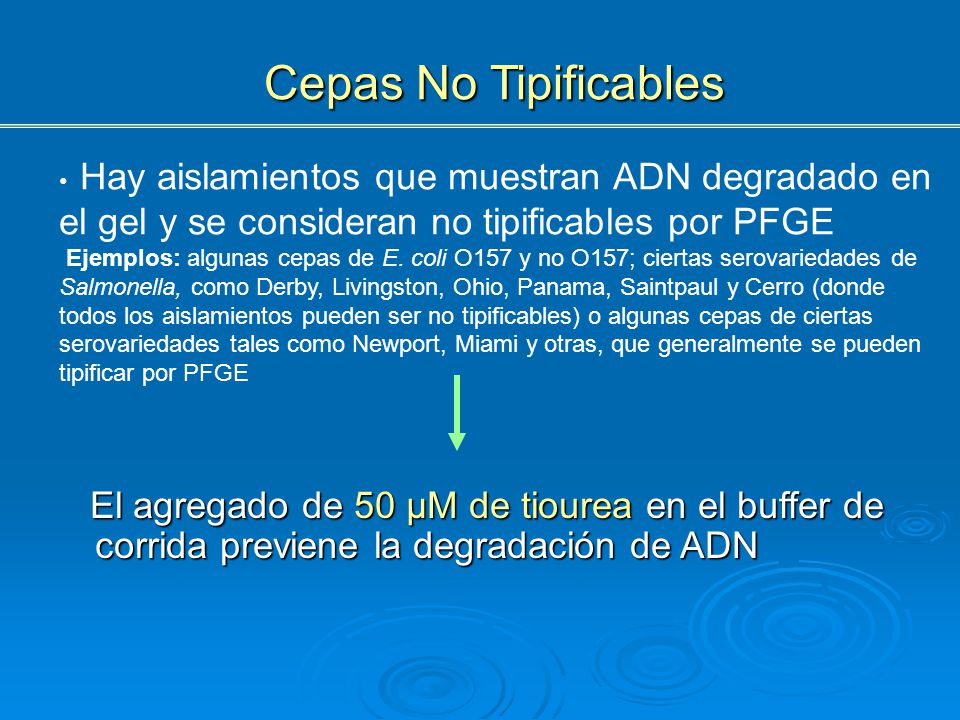 Cepas No Tipificables Hay aislamientos que muestran ADN degradado en el gel y se consideran no tipificables por PFGE.