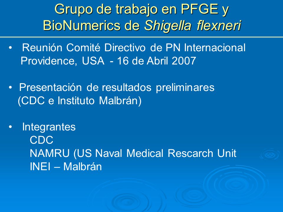 Grupo de trabajo en PFGE y BioNumerics de Shigella flexneri