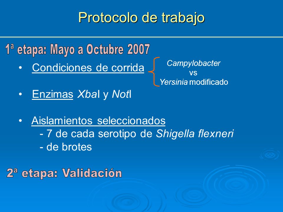 Protocolo de trabajo Condiciones de corrida Enzimas XbaI y NotI