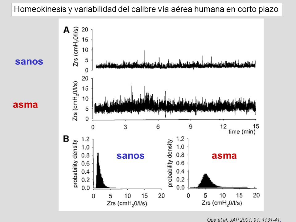 Homeokinesis y variabilidad del calibre vía aérea humana en corto plazo