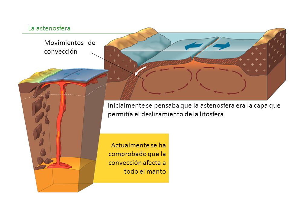 La astenosfera Movimientos de convección. Inicialmente se pensaba que la astenosfera era la capa que permitía el deslizamiento de la litosfera.