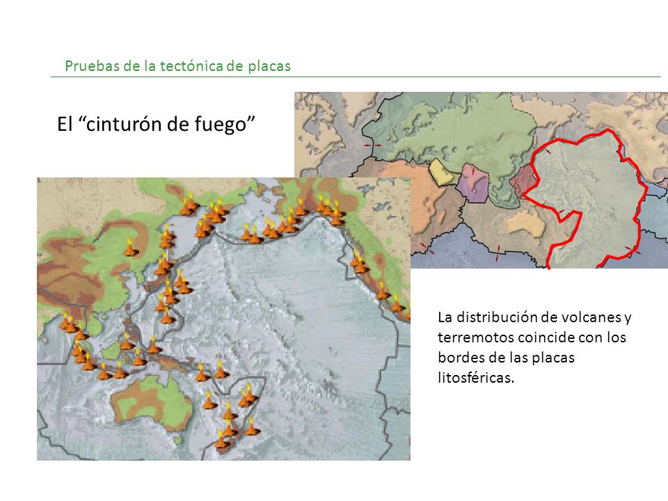 El cinturón de fuego Pruebas de la tectónica de placas