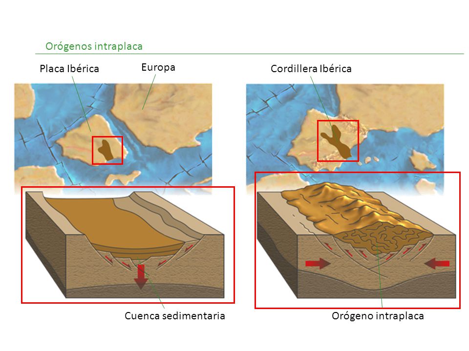 Orógenos intraplaca Placa Ibérica Europa Cordillera Ibérica Cuenca sedimentaria Orógeno intraplaca