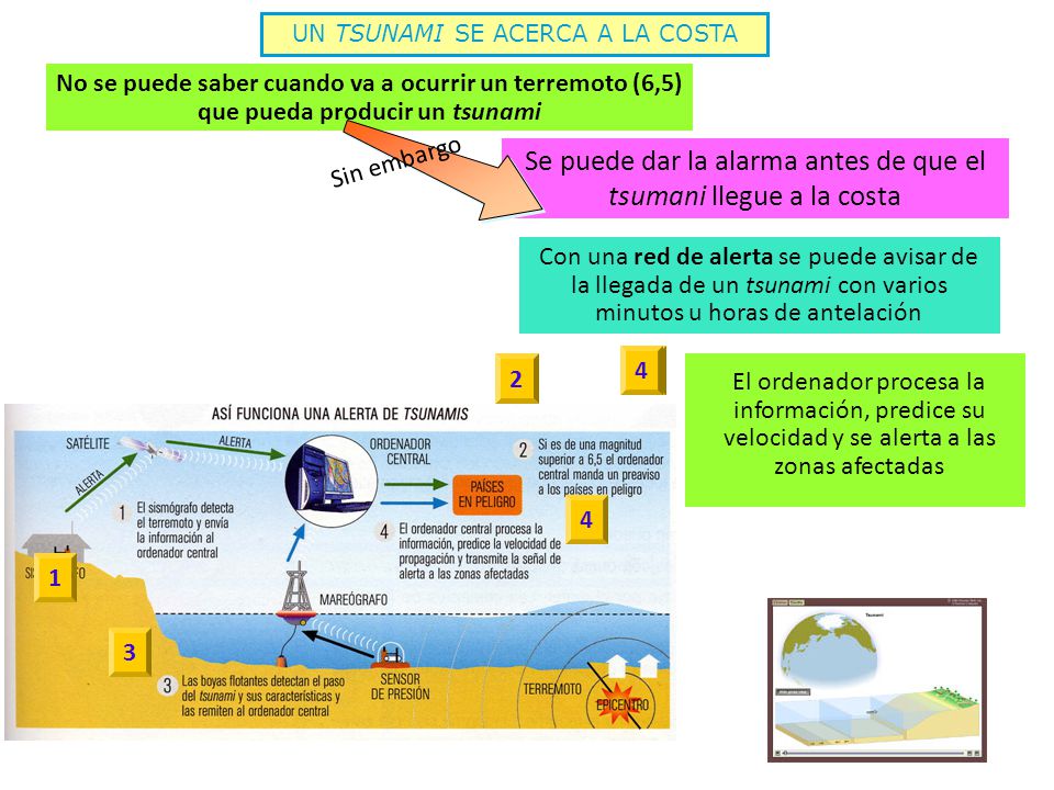 Se puede dar la alarma antes de que el tsumani llegue a la costa