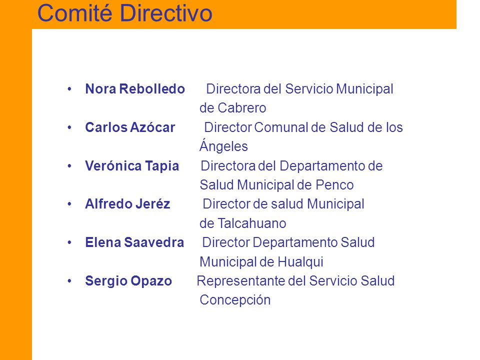 Comité Directivo Nora Rebolledo Directora del Servicio Municipal