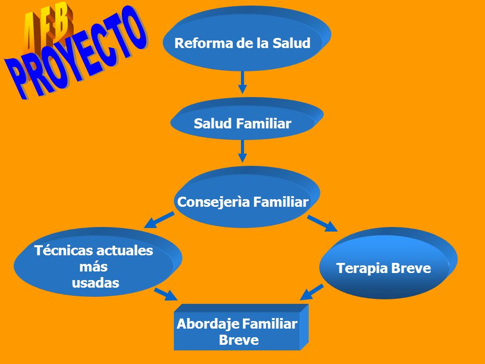A F B PROYECTO Reforma de la Salud Salud Familiar Consejerìa Familiar