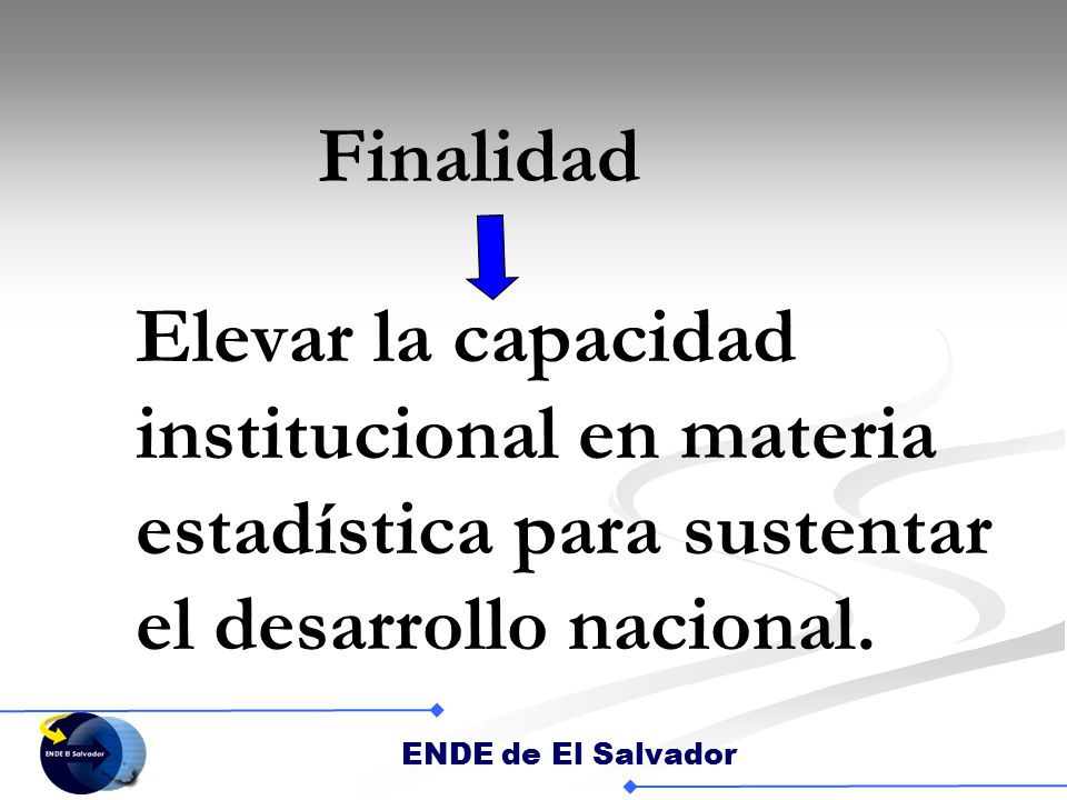 Finalidad Elevar la capacidad institucional en materia estadística para sustentar el desarrollo nacional.