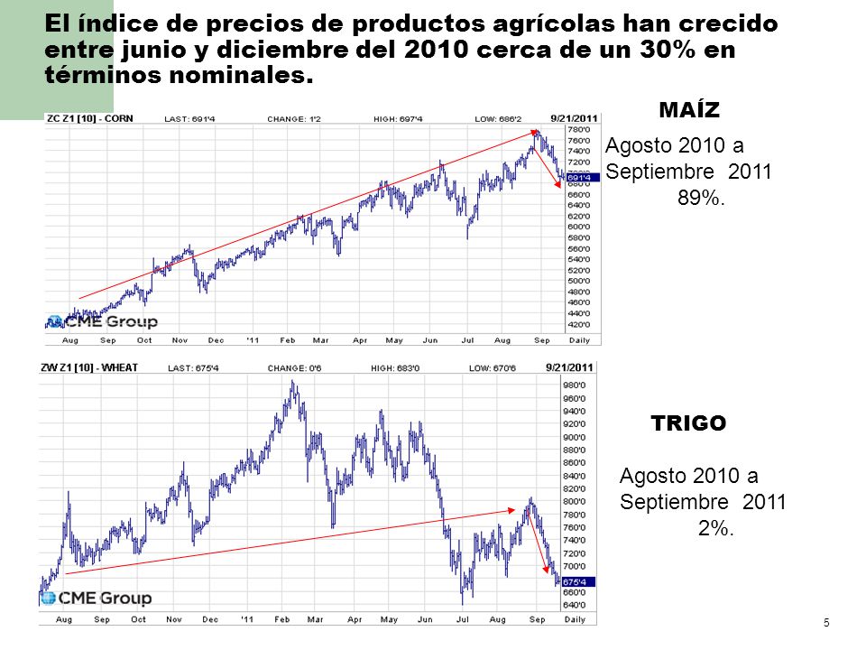 El índice de precios de productos agrícolas han crecido entre junio y diciembre del 2010 cerca de un 30% en términos nominales.