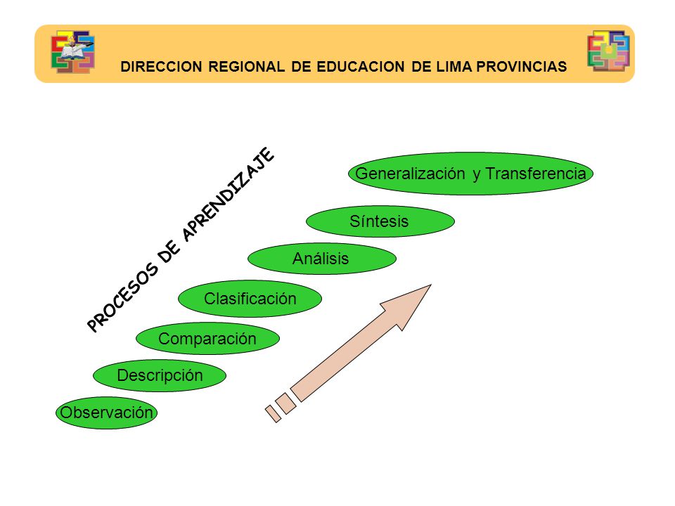 Generalización y Transferencia