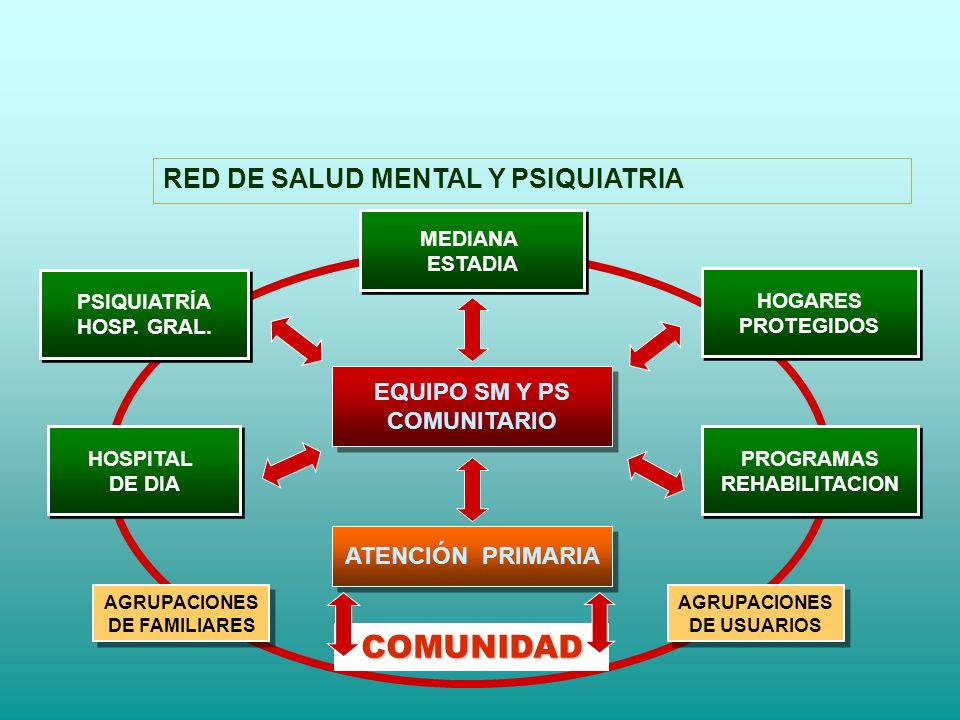 COMUNIDAD RED DE SALUD MENTAL Y PSIQUIATRIA EQUIPO SM Y PS COMUNITARIO