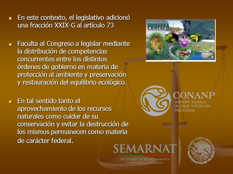 En este contexto, el legislativo adicionó una fracción XXIX-G al artículo 73