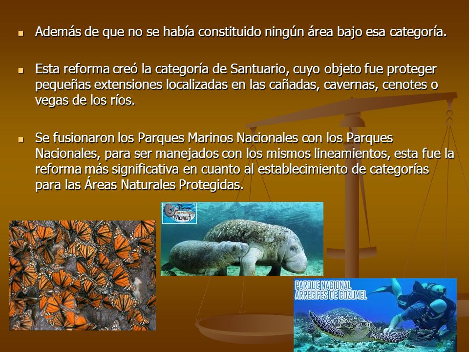 Además de que no se había constituido ningún área bajo esa categoría.
