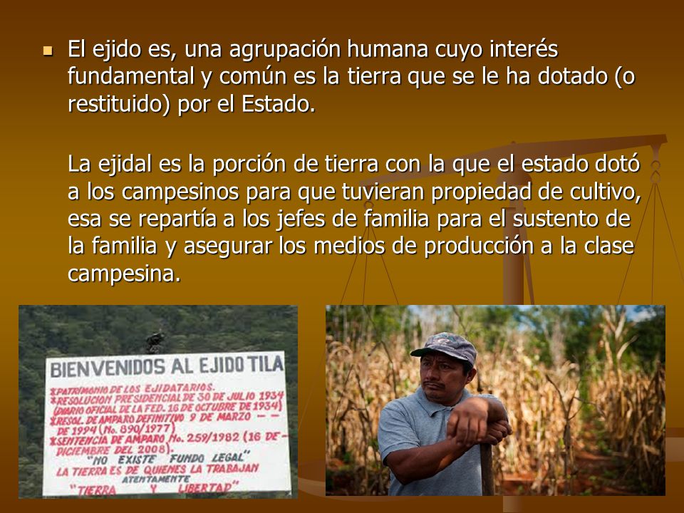 El ejido es, una agrupación humana cuyo interés fundamental y común es la tierra que se le ha dotado (o restituido) por el Estado.