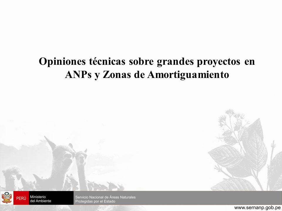 Opiniones técnicas sobre grandes proyectos en ANPs y Zonas de Amortiguamiento