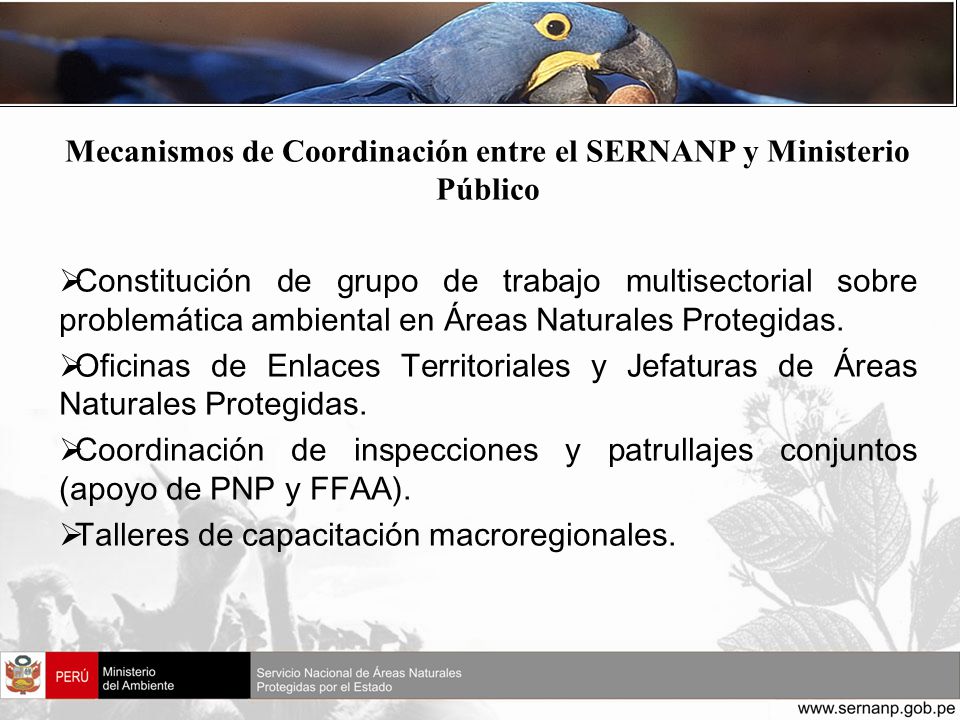 Mecanismos de Coordinación entre el SERNANP y Ministerio Público