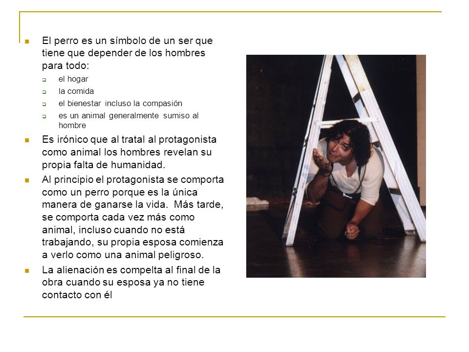 El perro es un símbolo de un ser que tiene que depender de los hombres para todo: