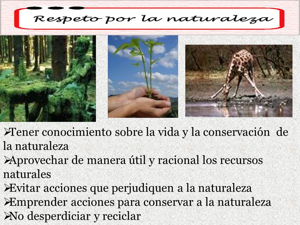 Tener conocimiento sobre la vida y la conservación de la naturaleza