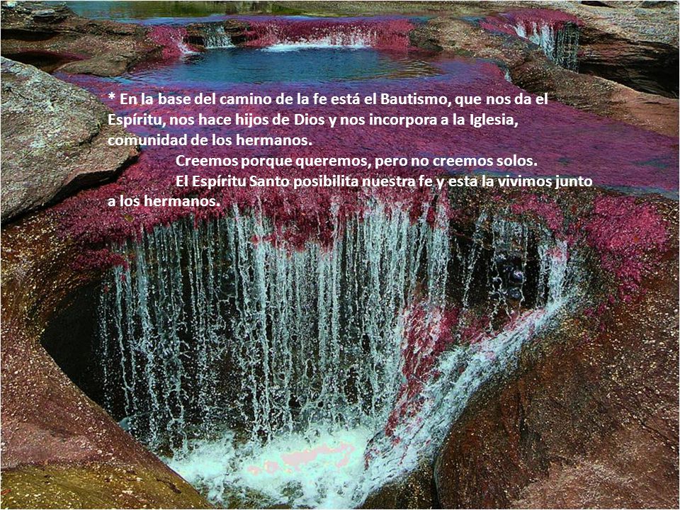 * En la base del camino de la fe está el Bautismo, que nos da el Espíritu, nos hace hijos de Dios y nos incorpora a la Iglesia, comunidad de los hermanos.