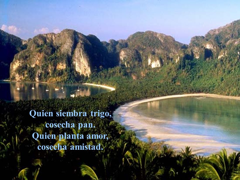 Quien siembra trigo, cosecha pan. Quien planta amor, cosecha amistad.