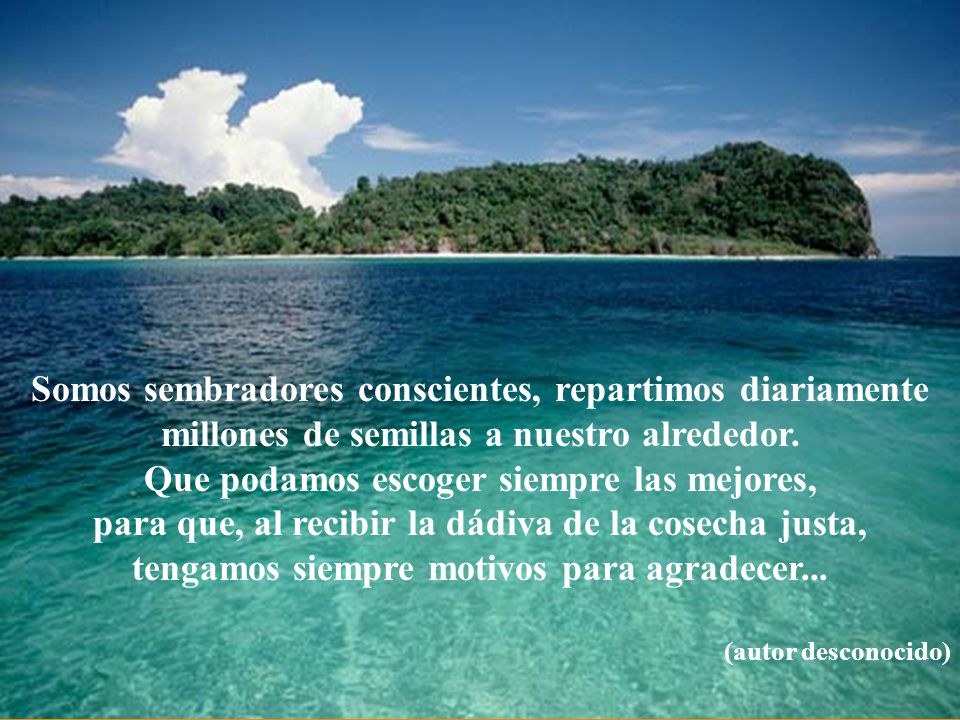 …... Somos sembradores conscientes, repartimos diariamente millones de semillas a nuestro alrededor.