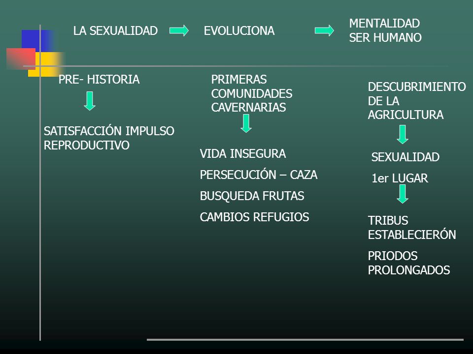 MENTALIDAD SER HUMANO LA SEXUALIDAD. EVOLUCIONA. PRE- HISTORIA. PRIMERAS COMUNIDADES CAVERNARIAS.
