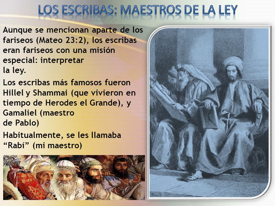 Aunque se mencionan aparte de los fariseos (Mateo 23:2), los escribas eran fariseos con una misión especial: interpretar la ley.