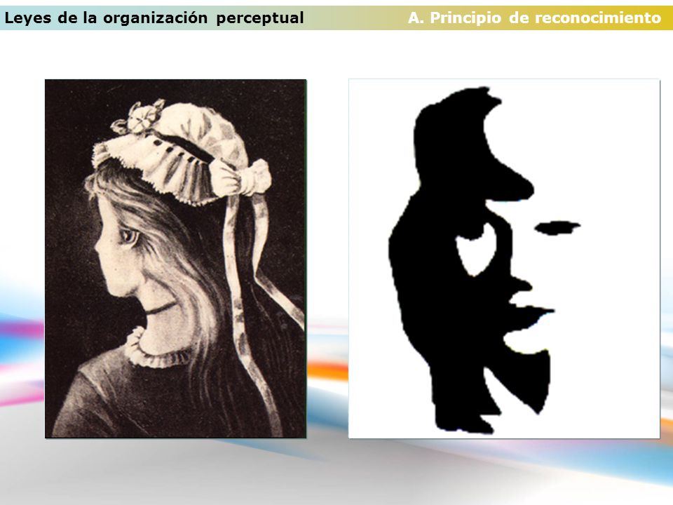 Leyes de la organización perceptual A. Principio de reconocimiento