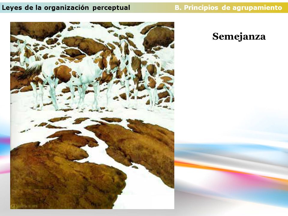 Leyes de la organización perceptual B. Principios de agrupamiento