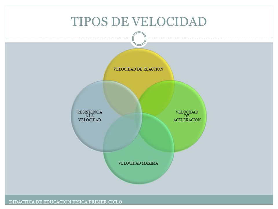 TIPOS DE VELOCIDAD DIDACTICA DE EDUCACION FISICA PRIMER CICLO