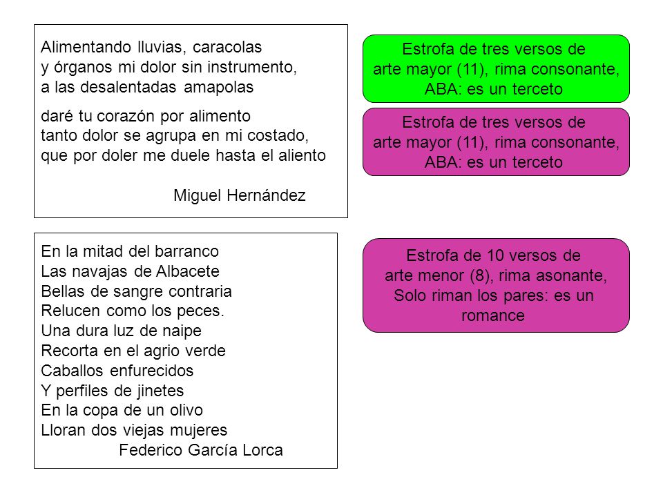 Alimentando lluvias, caracolas y órganos mi dolor sin instrumento,