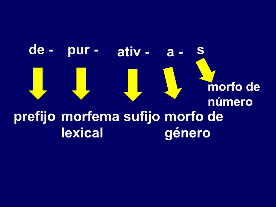 de - pur - s ativ - a - prefijo morfema lexical sufijo morfo de género
