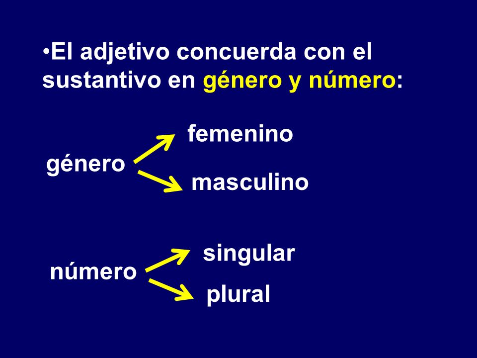 El adjetivo concuerda con el sustantivo en género y número: