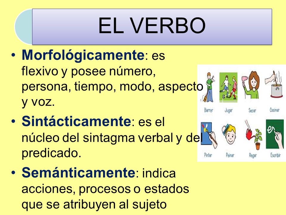 Sintácticamente: es el núcleo del sintagma verbal y del predicado.