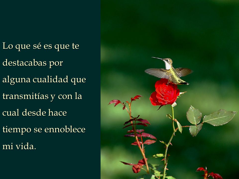 Lo que sé es que te destacabas por alguna cualidad que transmitías y con la cual desde hace tiempo se ennoblece mi vida.