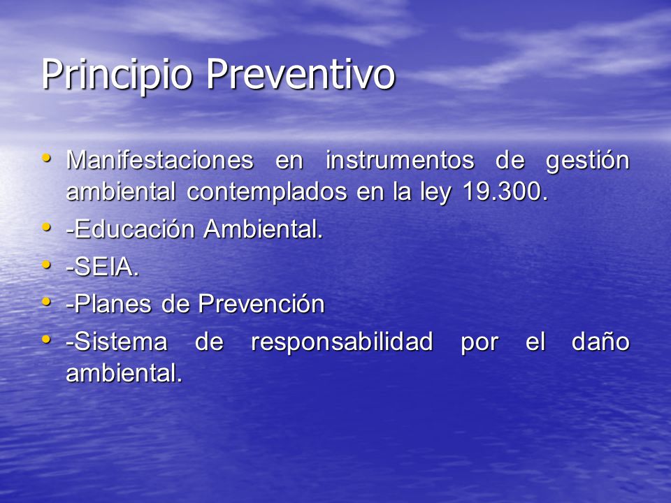 Principio Preventivo Manifestaciones en instrumentos de gestión ambiental contemplados en la ley