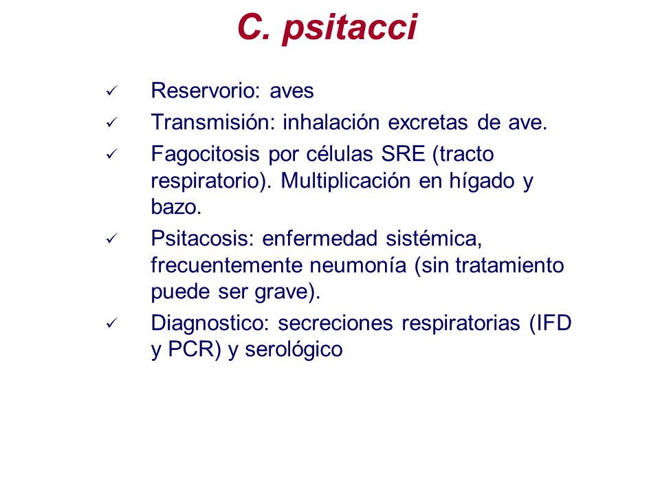 C. psitacci Reservorio: aves Transmisión: inhalación excretas de ave.