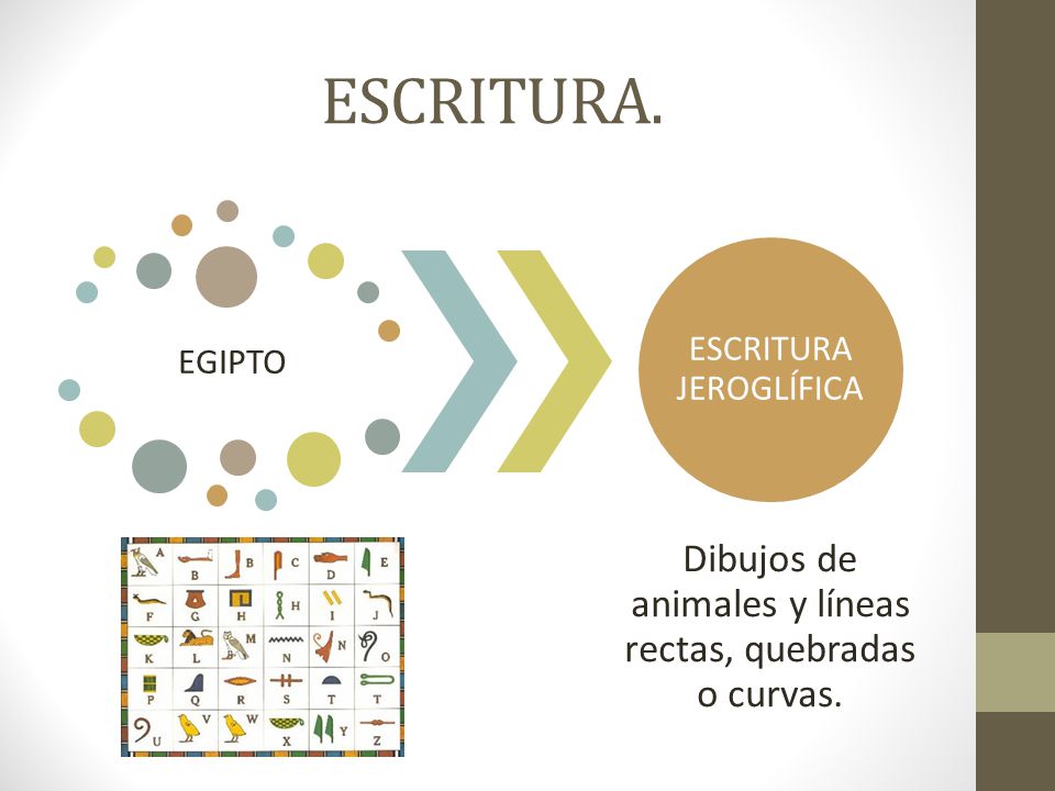ESCRITURA. Dibujos de animales y líneas rectas, quebradas o curvas.