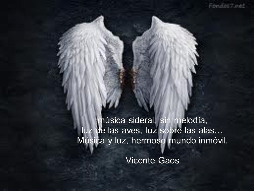 música sideral, sin melodía, luz de las aves, luz sobre las alas… Música y luz, hermoso mundo inmóvil.