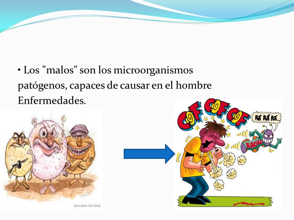 • Los malos son los microorganismos patógenos, capaces de causar en el hombre Enfermedades.